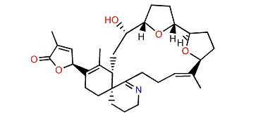 16-Desmethylgymnodimine D